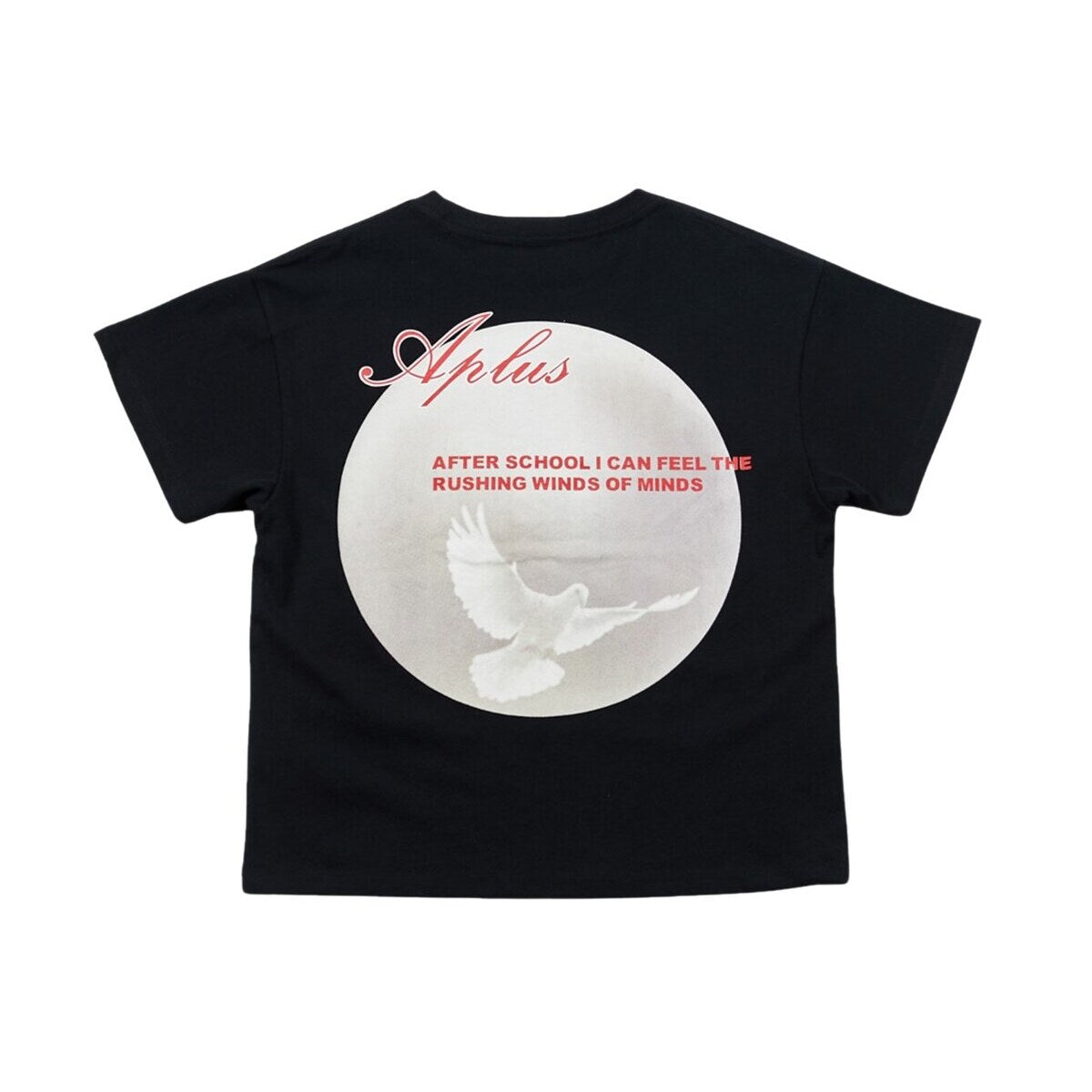 Kids Aplus 430 Dove Graphic T-Shirt – Screen-Printed Oversized Everyday Tee