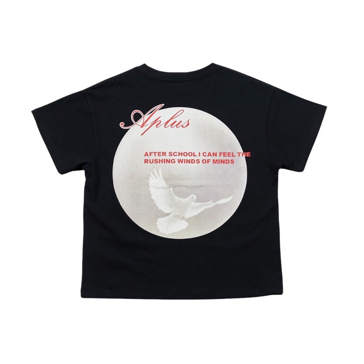 Kids Aplus 430 Dove Graphic T-Shirt – Screen-Printed Oversized Everyday Tee