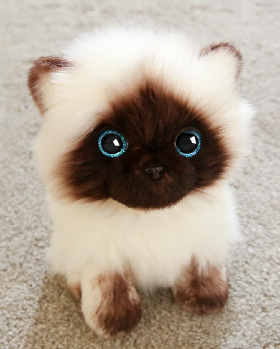 Adorable Lifelike White Siamese Cat Plush Toy 0cm