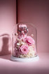 "Cupid" Eternal Pink Roses Teddy Bear - 0cm