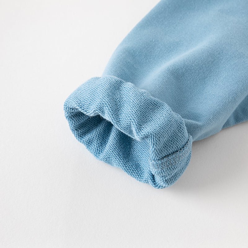 Front Zip Dinosaur Purse Boy Long Sleeve Blue Sweater 0cm