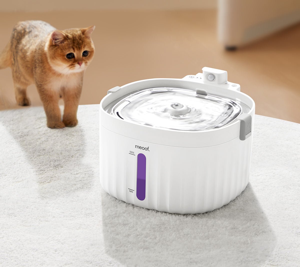 Wireless Automatic Pet Water Fountain - 0cm