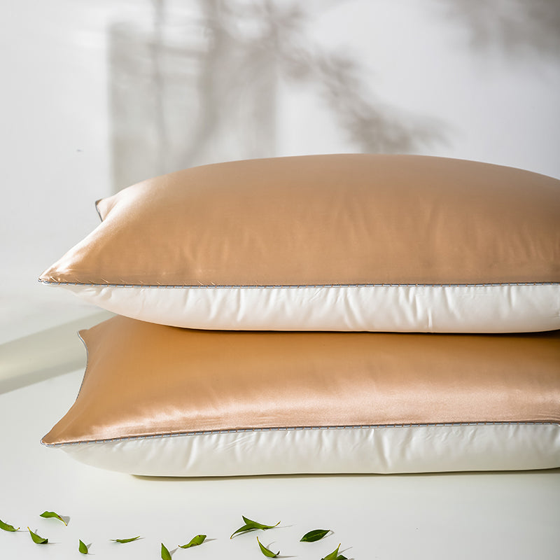 21 Momme Pure Silk Hotel Grade Pillowcase Pair