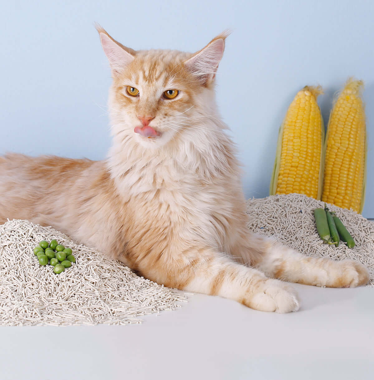 3 in 1 mixed crushed bentonite and tofu cat litter 4