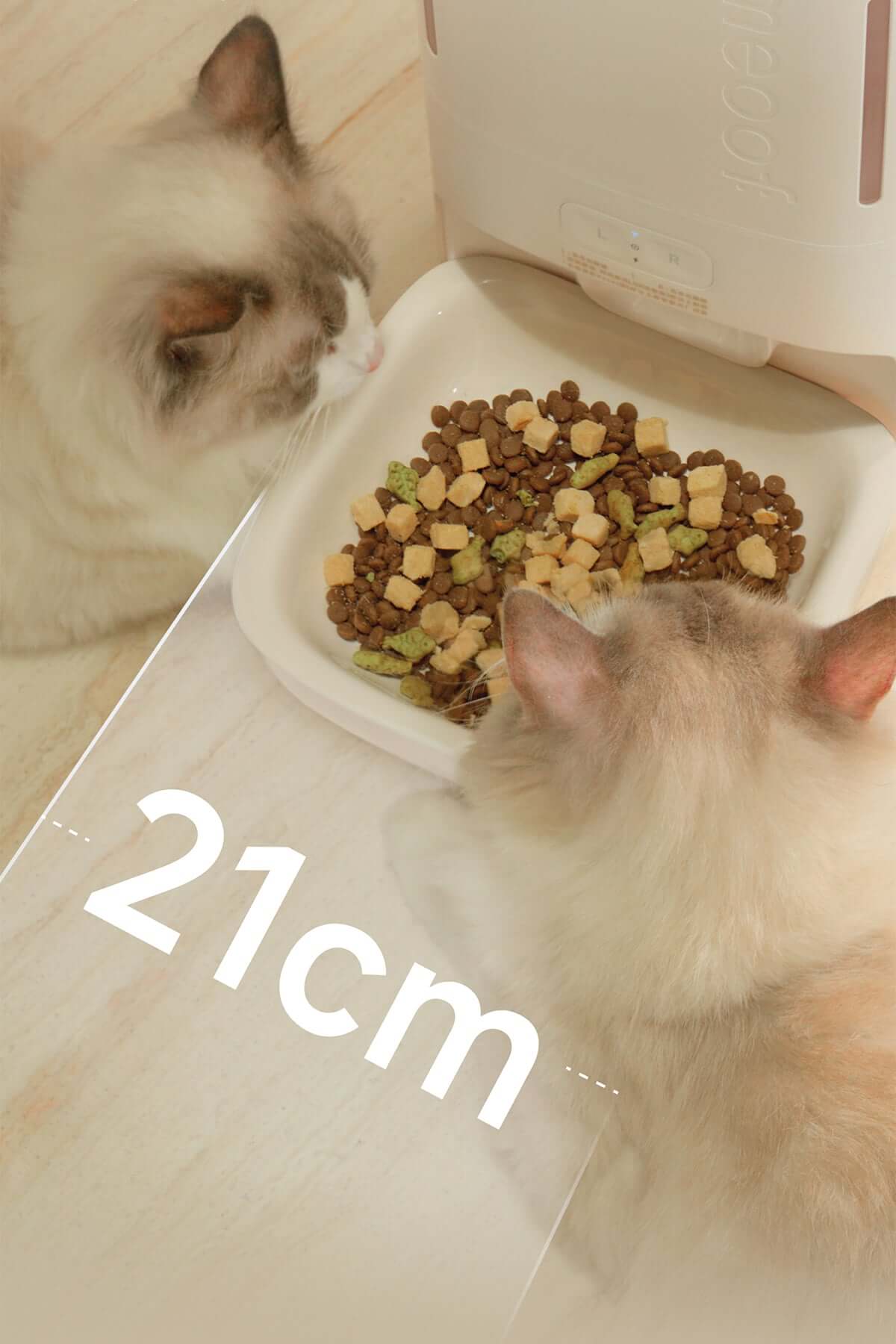 automatic-smart-pet-feeder_cream_7.jpg
