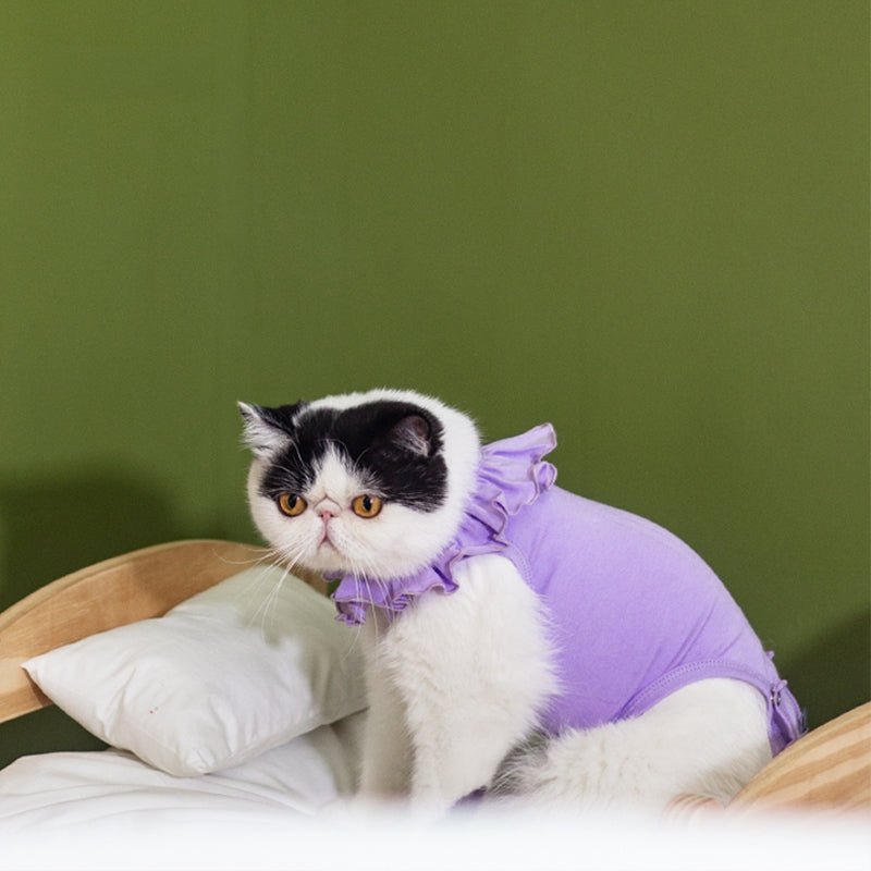 Breathable Cat Recovery Suit with Ruffle Collar