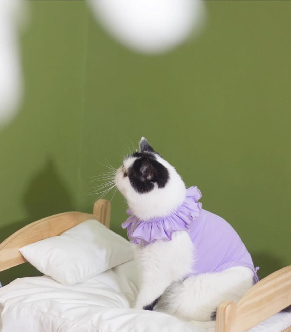 Breathable Cat Recovery Suit with Ruffle Collar