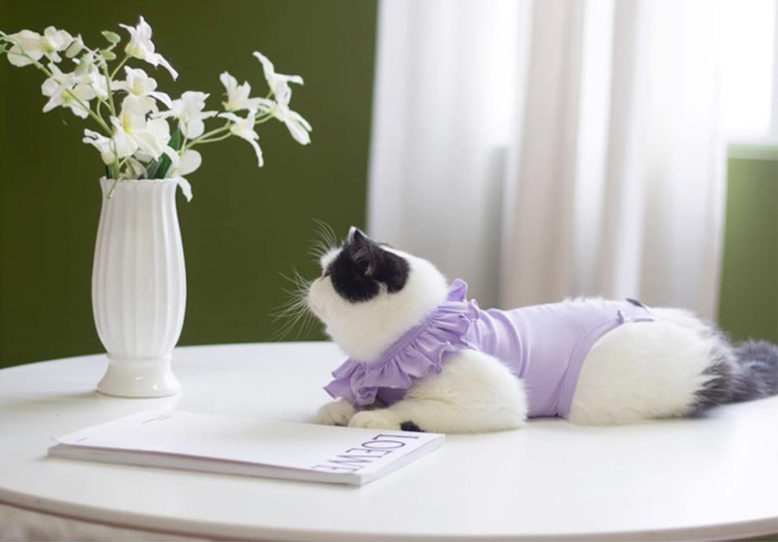 Breathable Cat Recovery Suit with Ruffle Collar