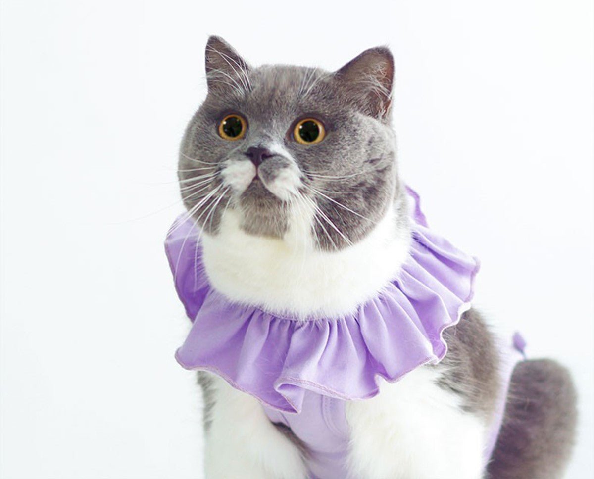 Breathable Cat Recovery Suit with Ruffle Collar
