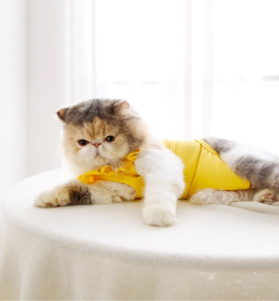 Breathable Cat Recovery Suit with Ruffle Collar