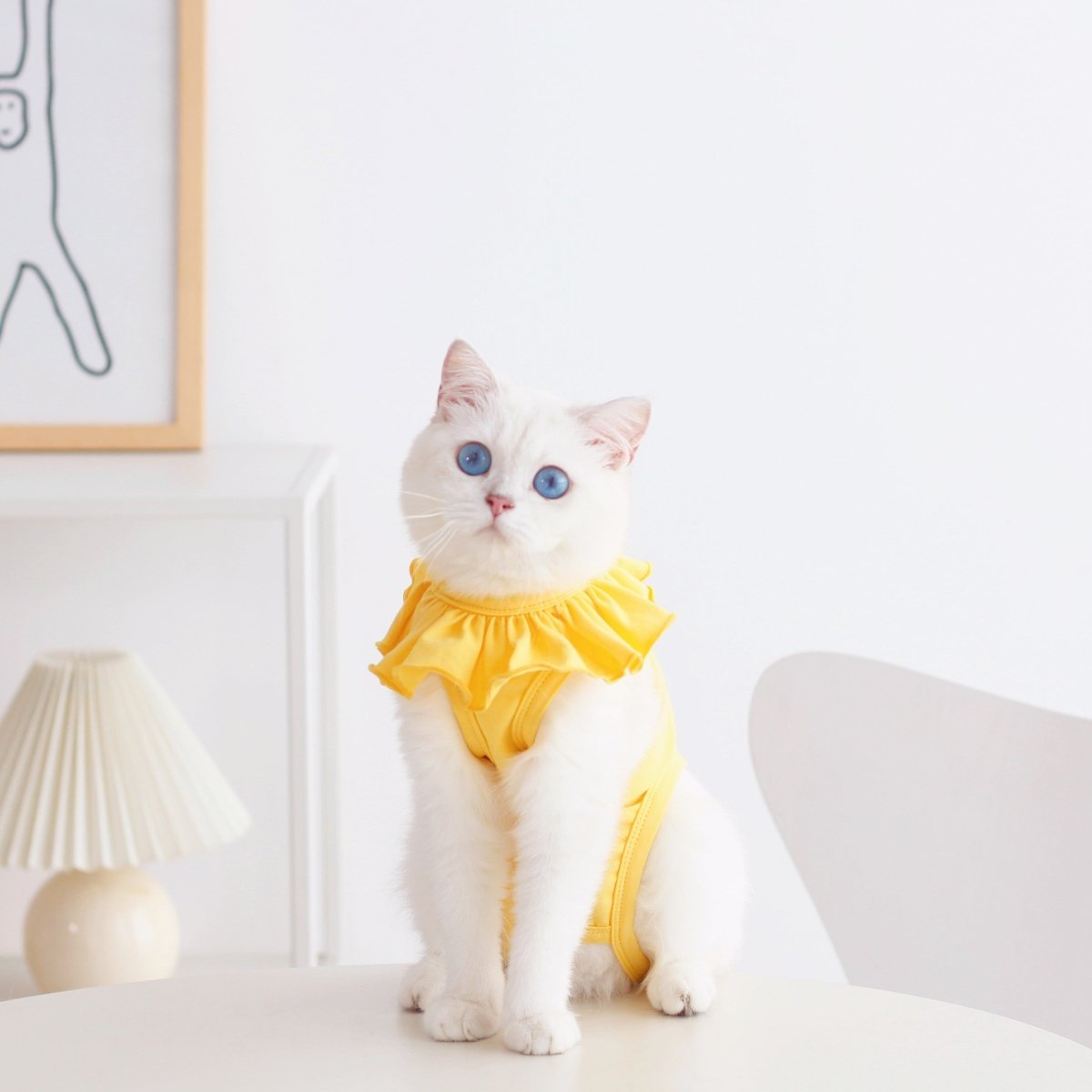 Breathable Cat Recovery Suit with Ruffle Collar
