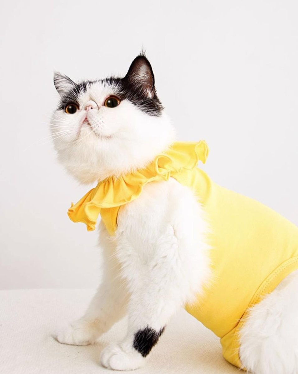 Breathable Cat Recovery Suit with Ruffle Collar