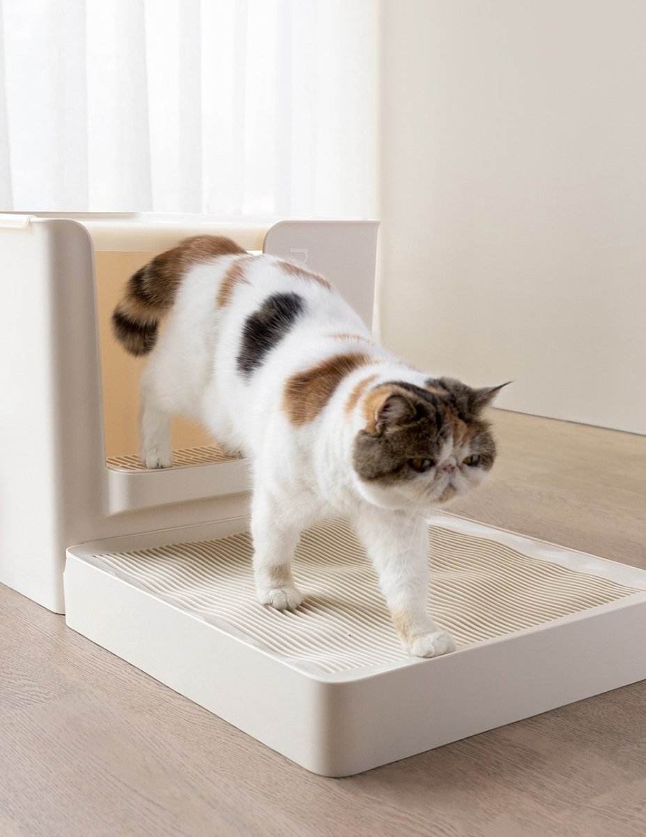 Curved Wave Cat Litter Trapping Mat with Non - Slip Base