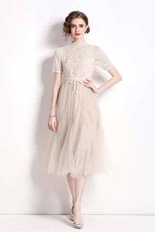 Delicate Mesh High Waisted Midi Dress