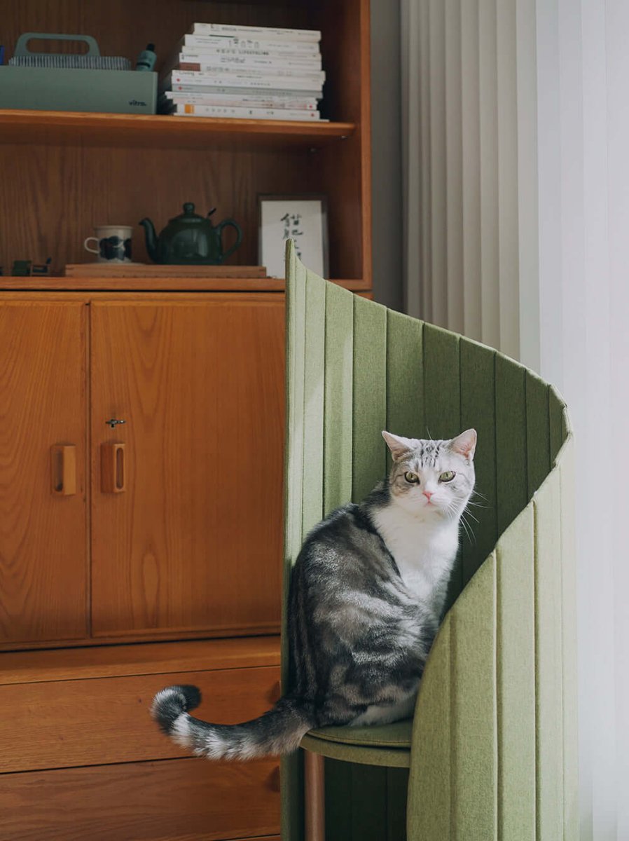 Elegant Cat Tower of Time Tree - 0cm