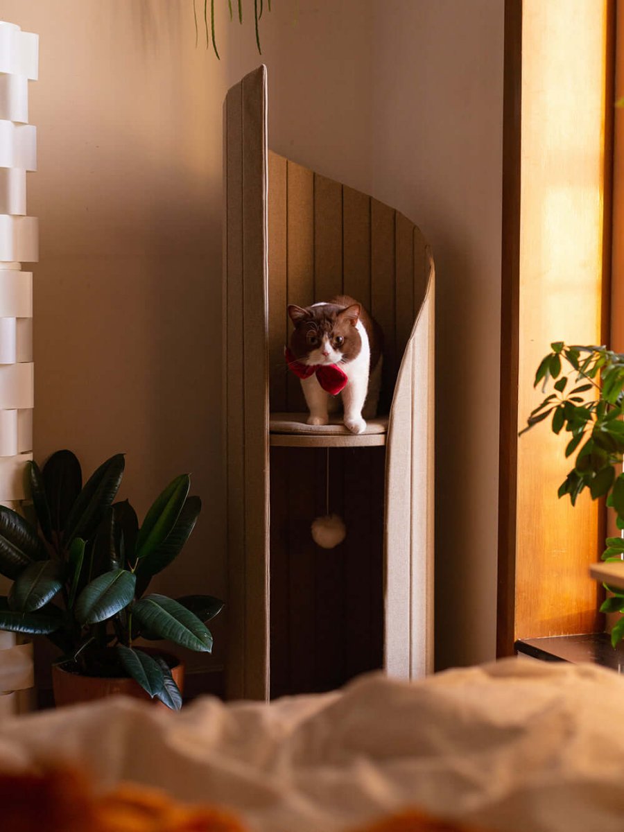 Elegant Cat Tower of Time Tree - 0cm