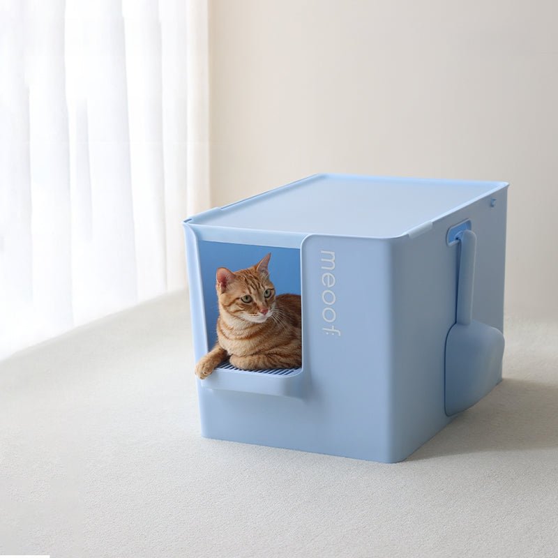 Extra Large Semi - Enclosed Cat Litter Box with Step & Scoop Set