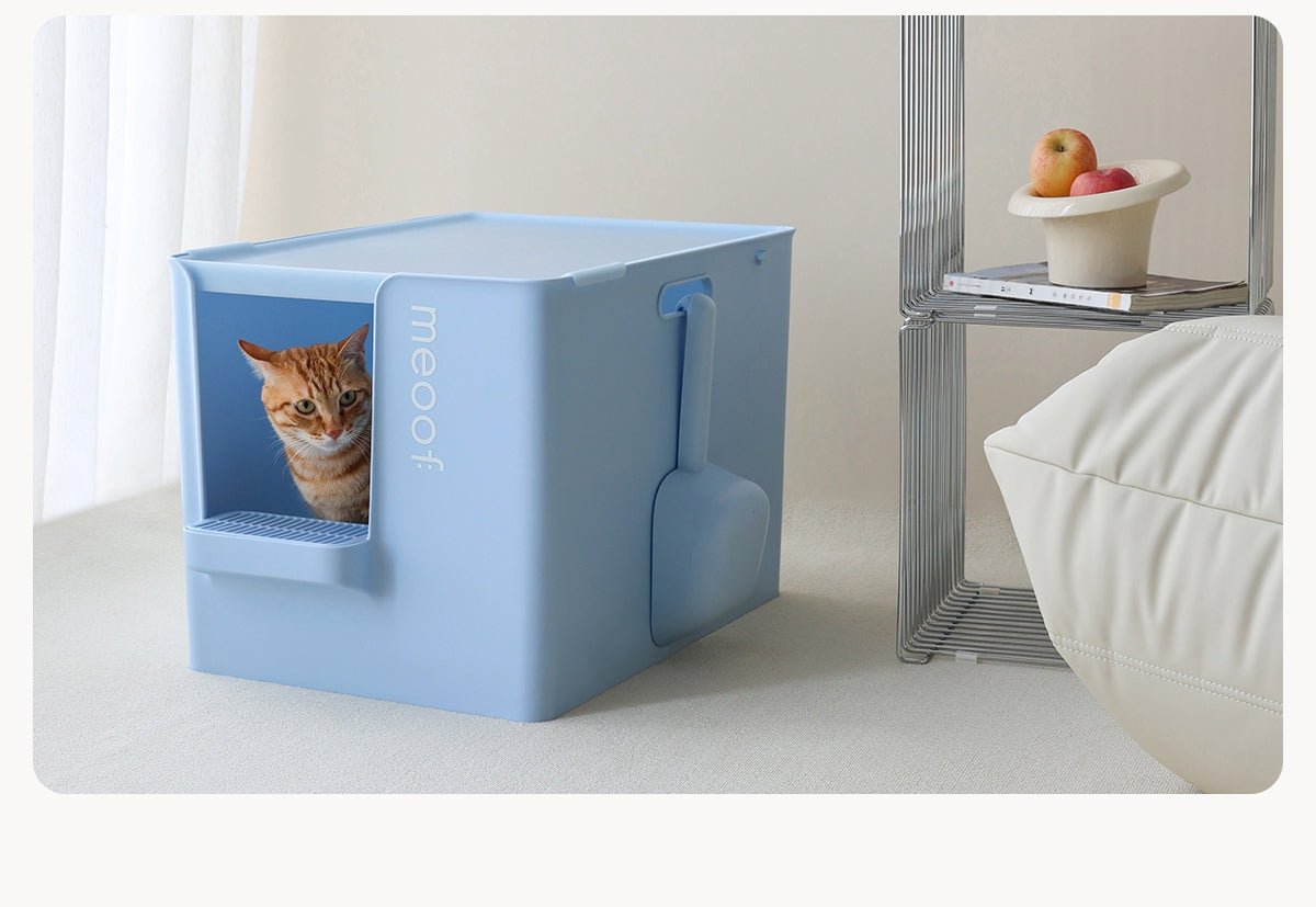 Extra Large Semi - Enclosed Cat Litter Box with Step & Scoop Set