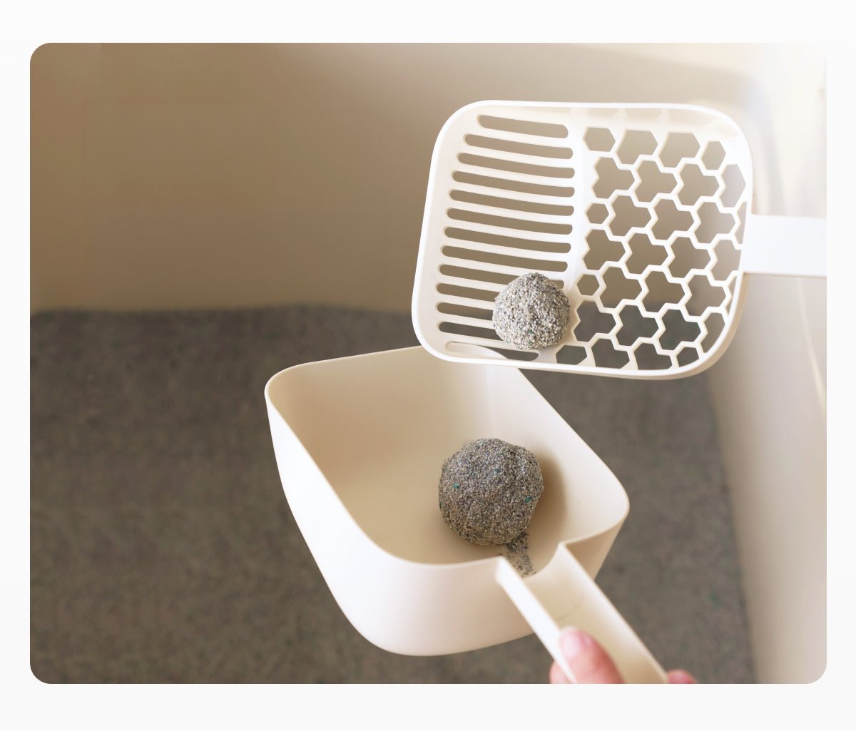 Extra Large Semi - Enclosed Cat Litter Box with Step & Scoop Set