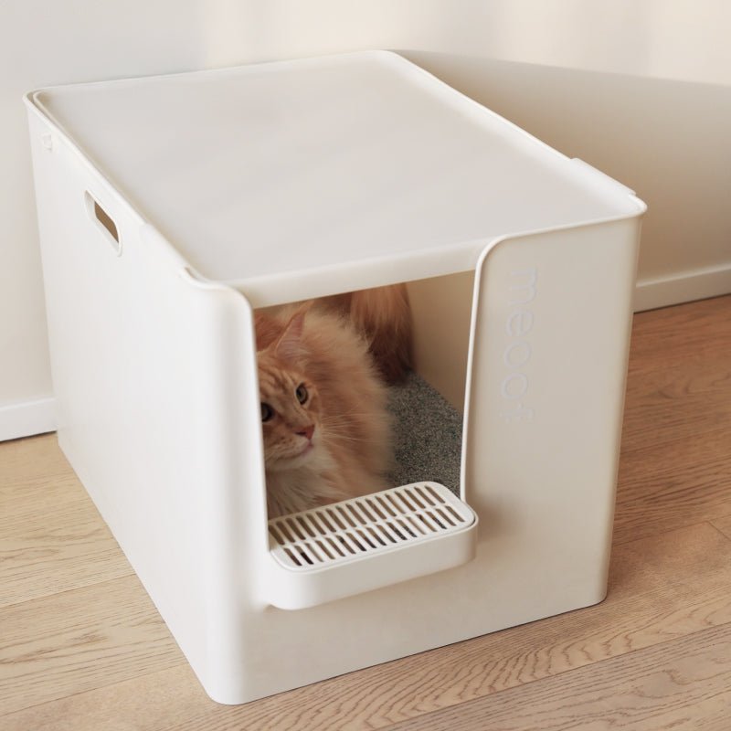 Extra Large Semi - Enclosed Cat Litter Box with Step & Scoop Set