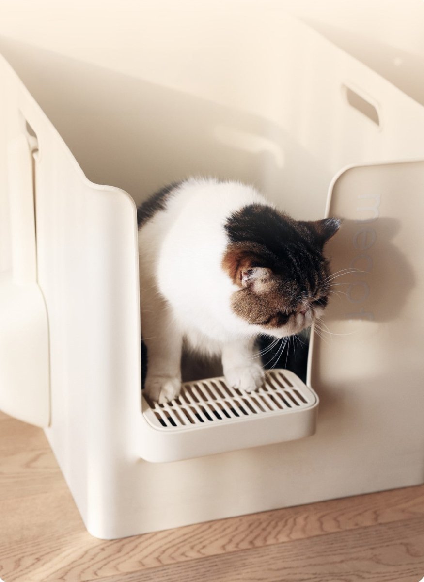 Extra Large Semi - Enclosed Cat Litter Box with Step & Scoop Set