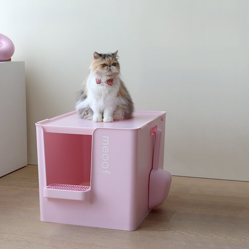 Extra Large Semi - Enclosed Cat Litter Box with Step & Scoop Set