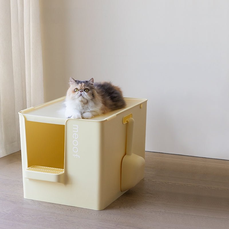 Extra Large Semi - Enclosed Cat Litter Box with Step & Scoop Set