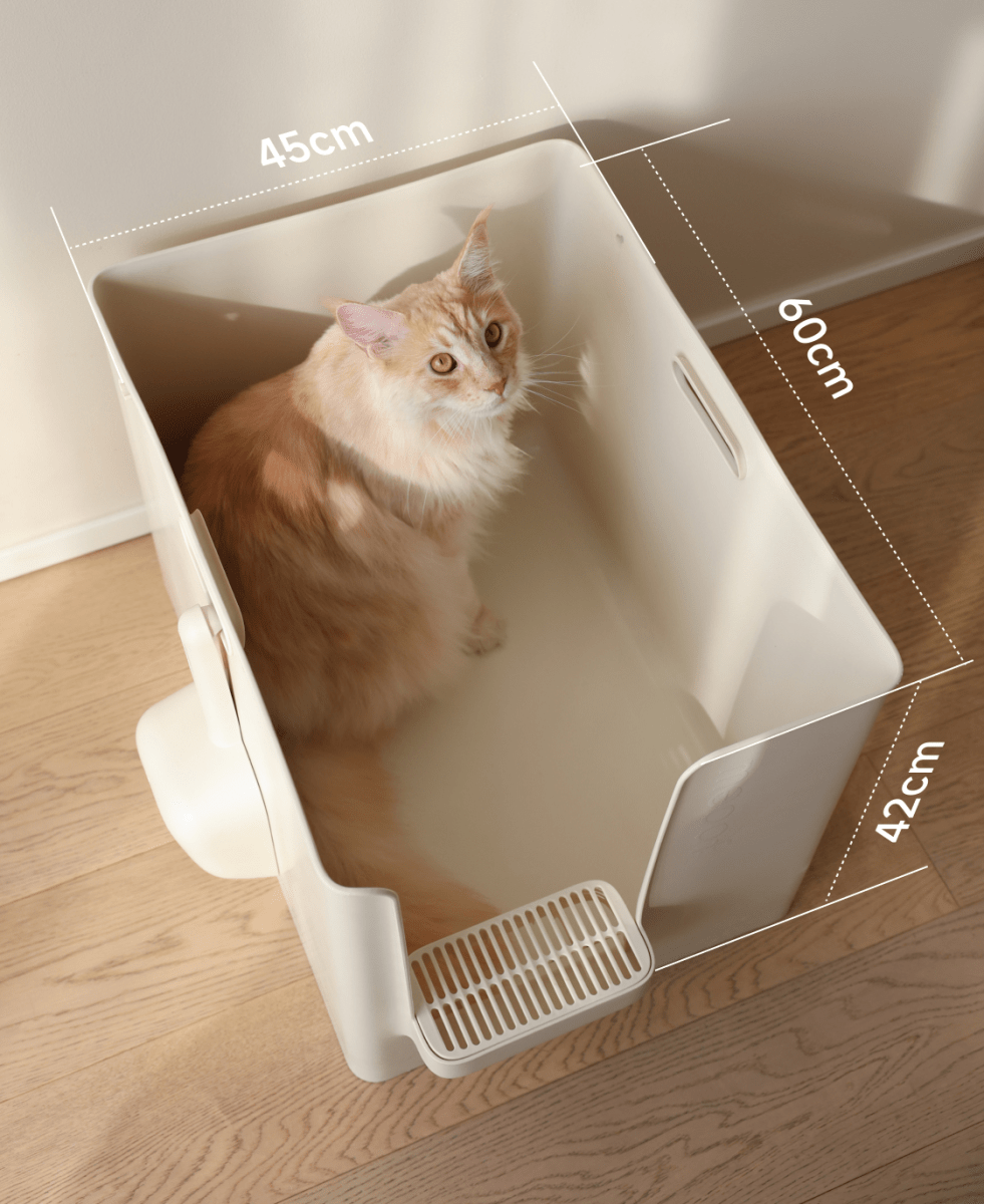 Extra Large Semi - Enclosed Cat Litter Box with Step & Scoop Set