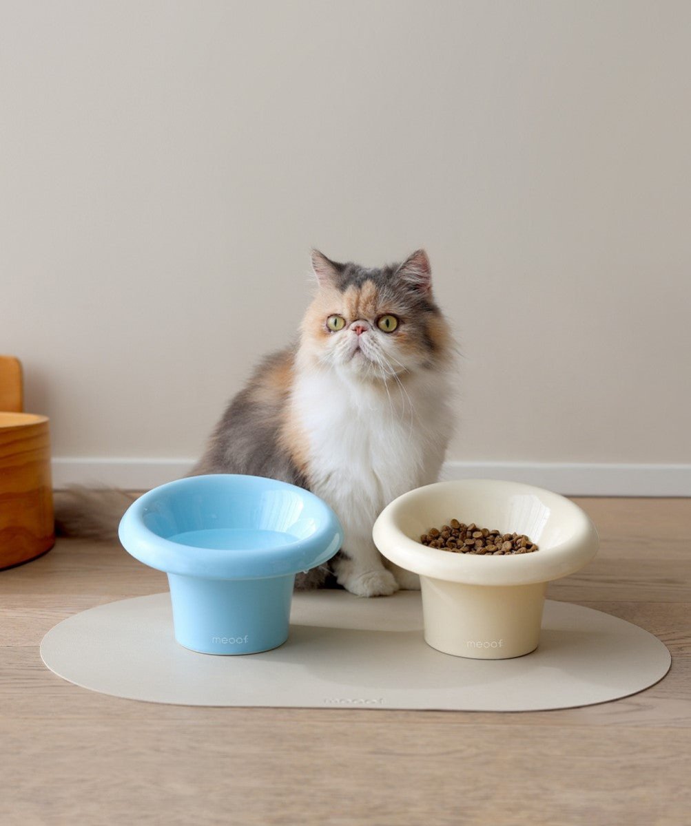 Fafa Elevated Ceramic Pet Bowl