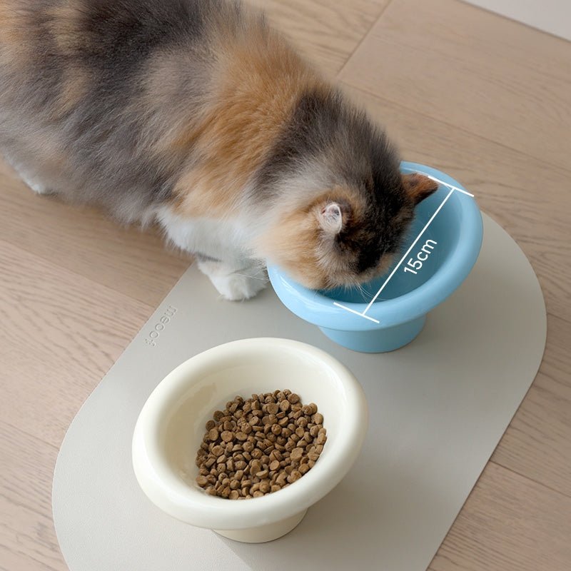 Fafa Elevated Ceramic Pet Bowl