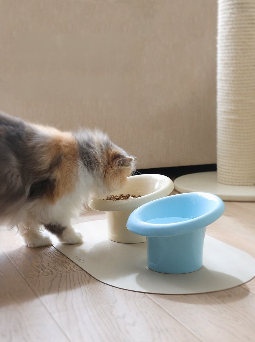 Fafa Elevated Ceramic Pet Bowl