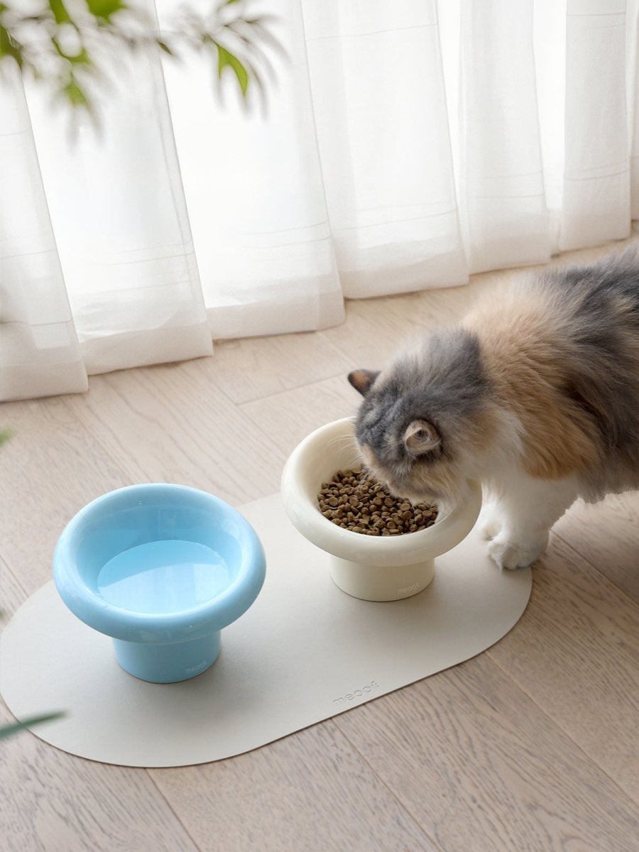 Fafa Elevated Ceramic Pet Bowl