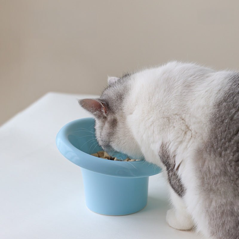 Fafa Elevated Ceramic Pet Bowl