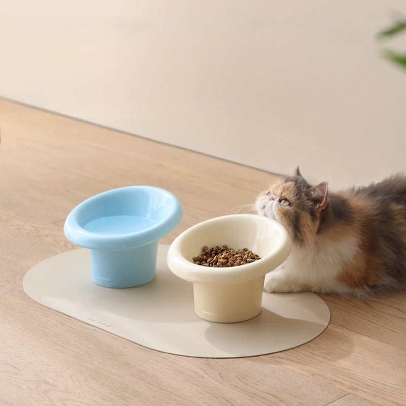Fafa Elevated Ceramic Pet Bowl