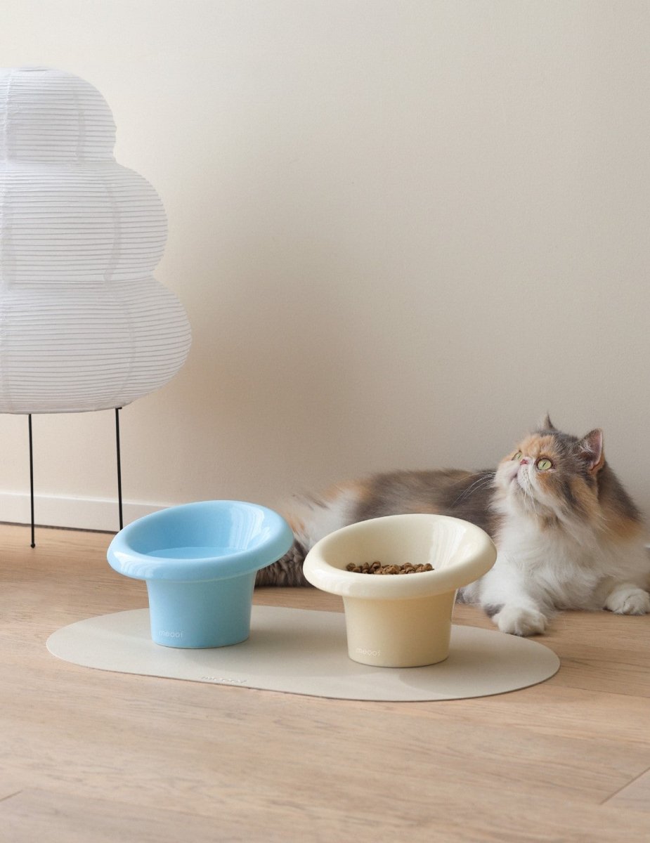 Fafa Elevated Ceramic Pet Bowl