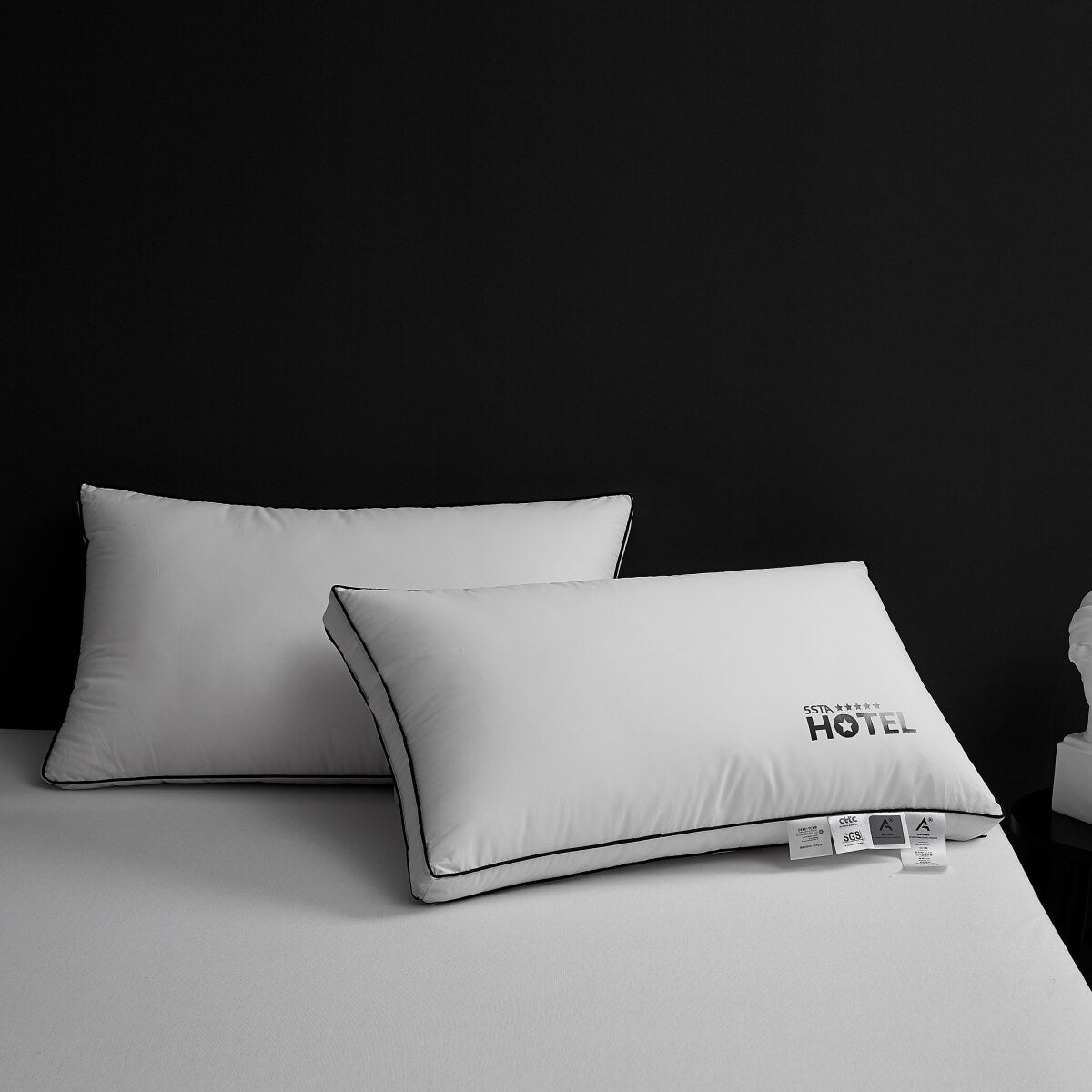 100% Cotton Five Star Hotel Pillow 2 Pack Set