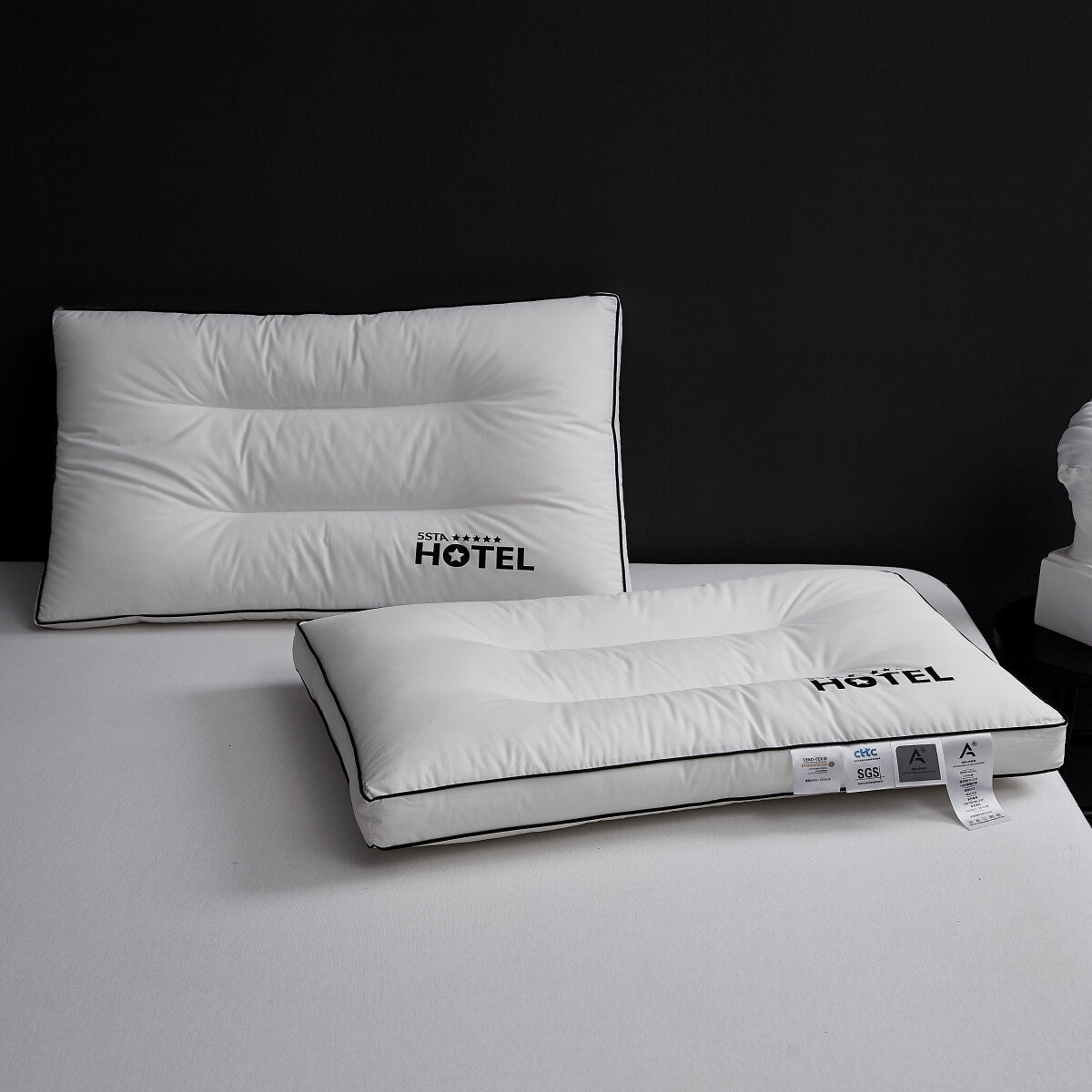 100% Cotton Five Star Hotel Pillow 2 Pack Set