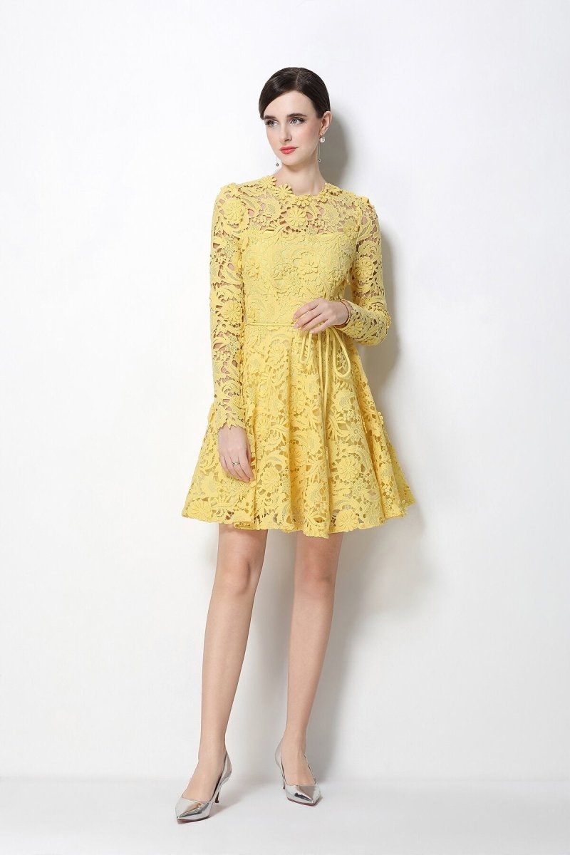 Floral Guipure Lace Long-Sleeve Fit-and-Flare Mini Dress with Rope Tie Belt
