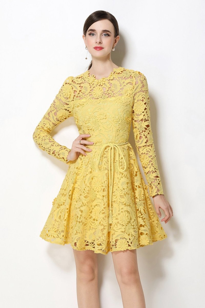 Floral Guipure Lace Long-Sleeve Fit-and-Flare Mini Dress with Rope Tie Belt