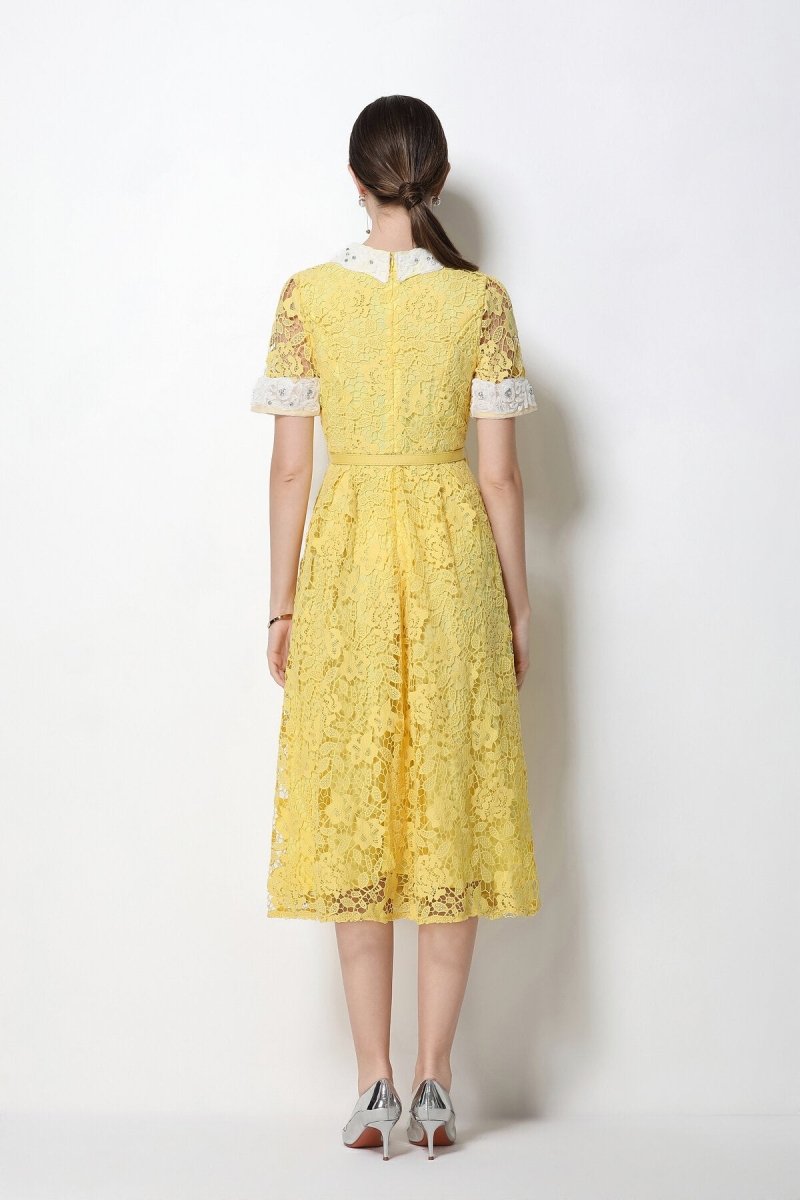 Floral Lace Peter Pan Collar Midi Dress with Crystal Buttons & Grommet Belt