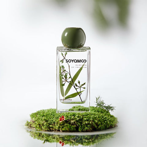 Green Bamboo Grove Wildwood Reed Diffuser