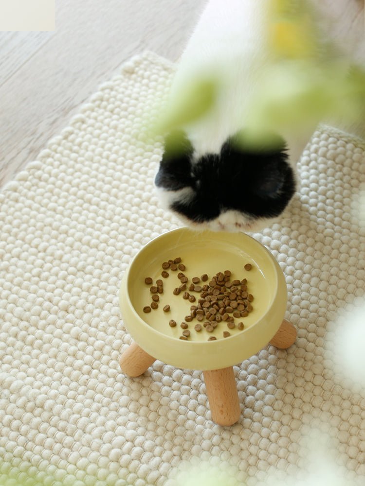 Gulu Elevated Ceramic Pet Food Bowl with Wooden Stand