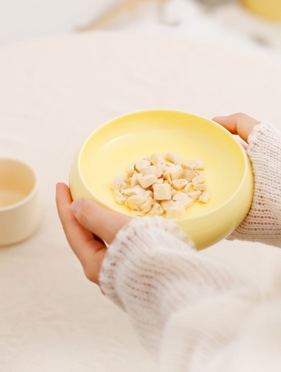 Gulu Elevated Ceramic Pet Food Bowl with Wooden Stand