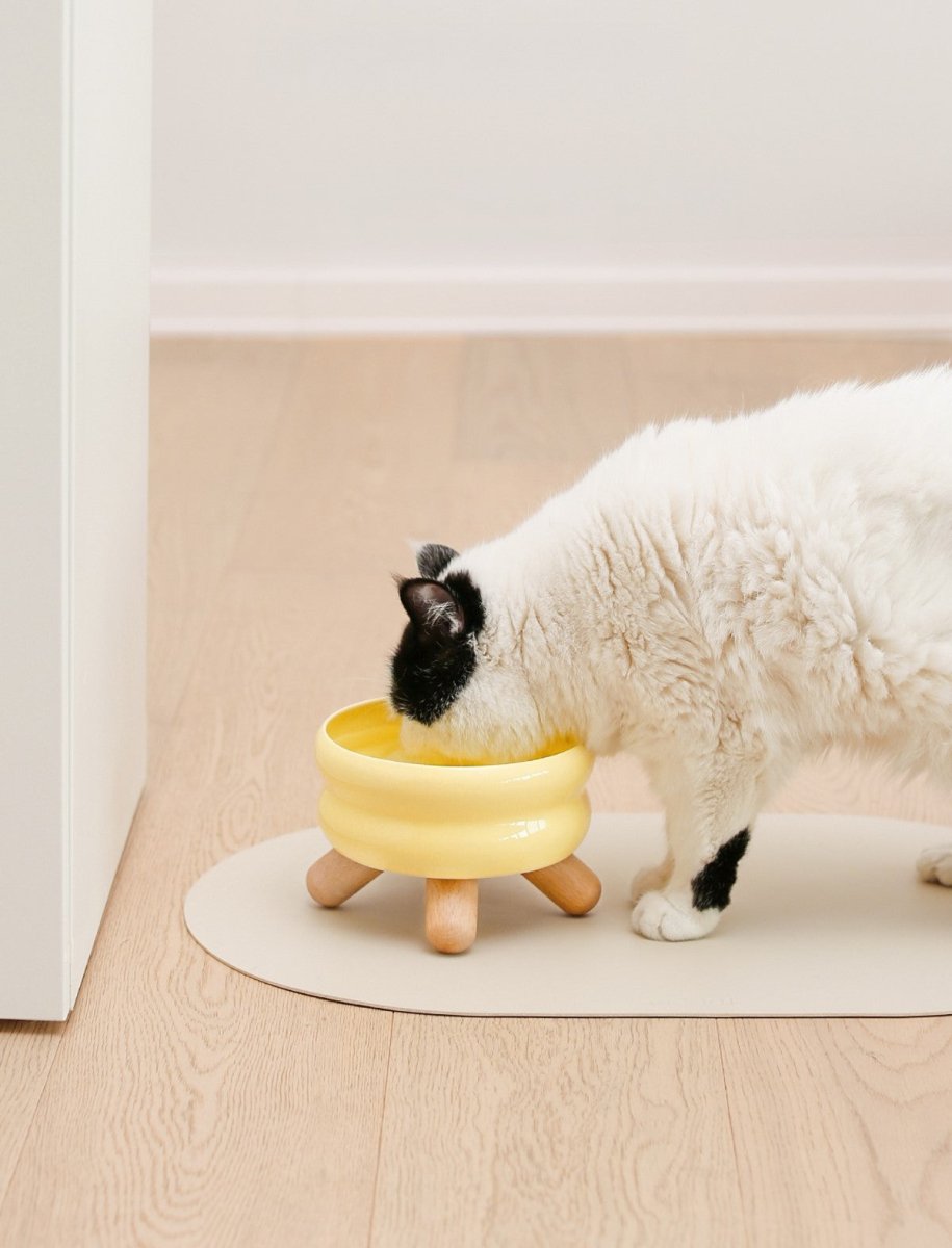 Gulu Elevated Ceramic Pet Water Bowl with Wooden Stand