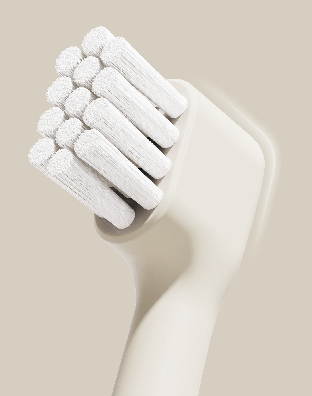 hygienic pet toothbrush cream 5