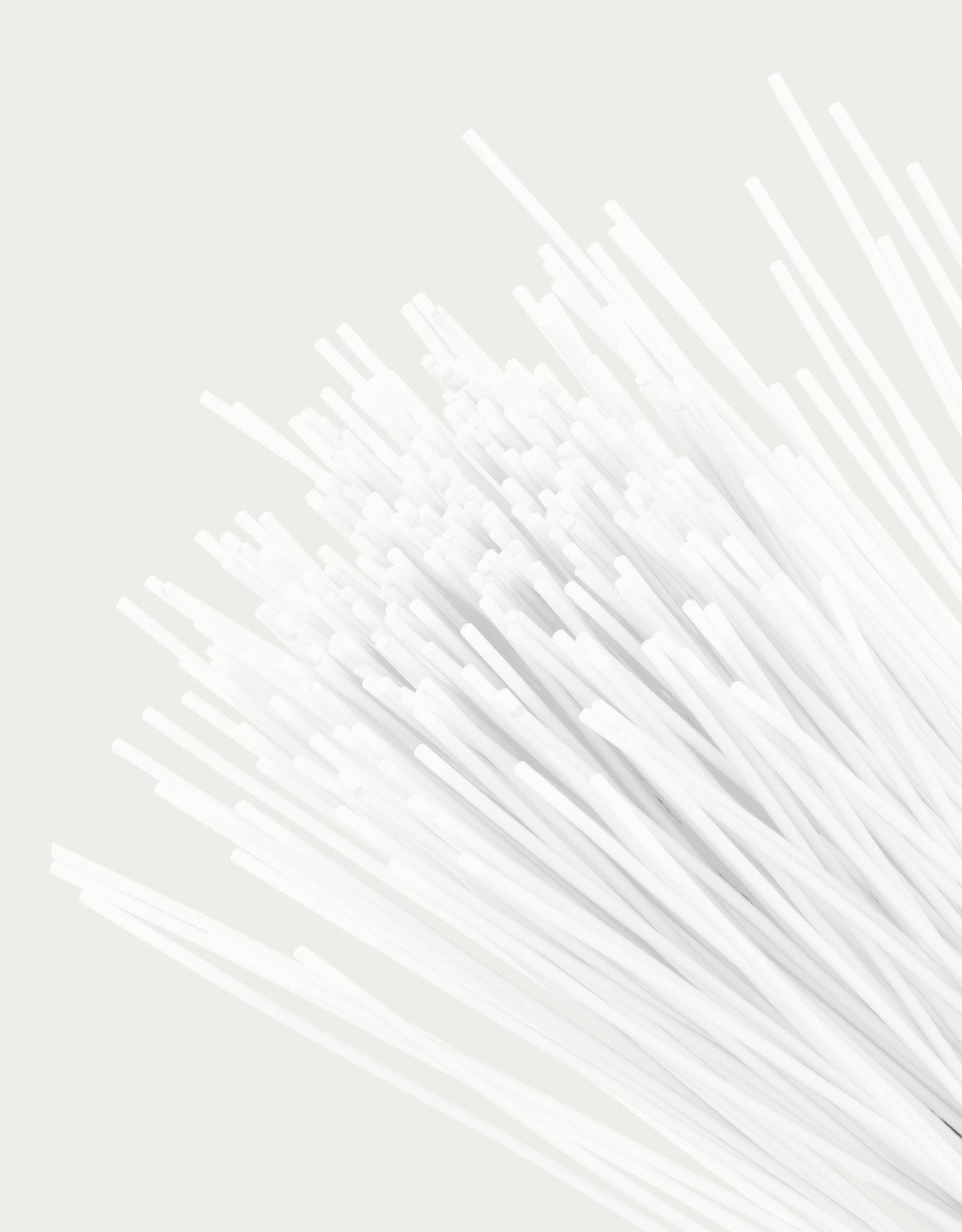 hygienic pet toothbrush cream 6