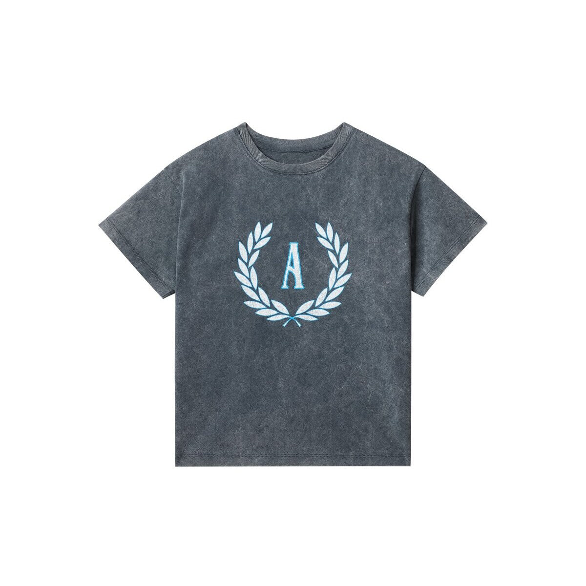 Kids APLUS DMINUS Campus Laurel Wreath Heavyweight Washed T-Shirt – 100% Cotton Boxy Fit Collegiate Crest Tee