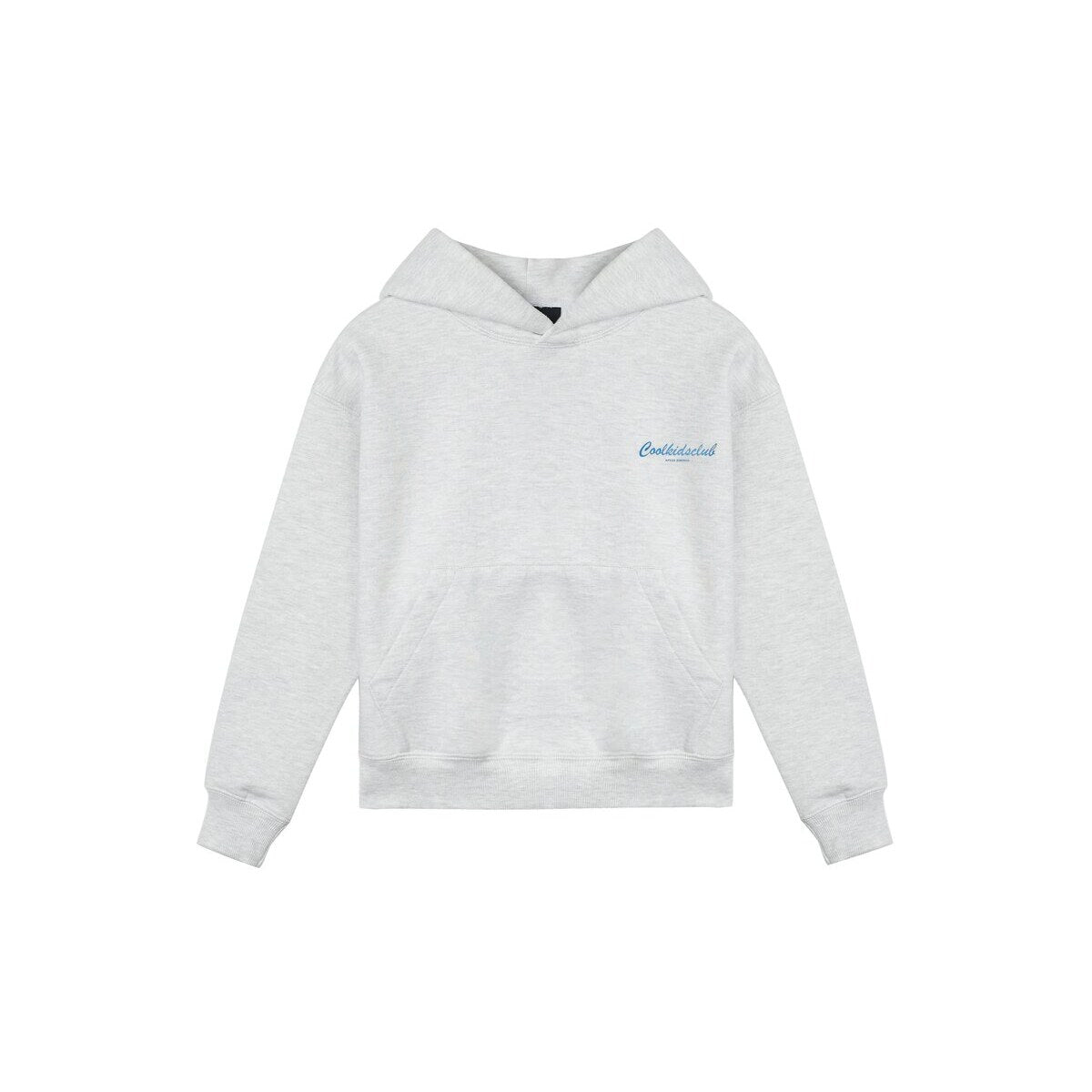 Kids APLUS DMINUS Cool Kids Club Script Logo Pullover Hoodie – Structured Thin Fleece Sweatshirt