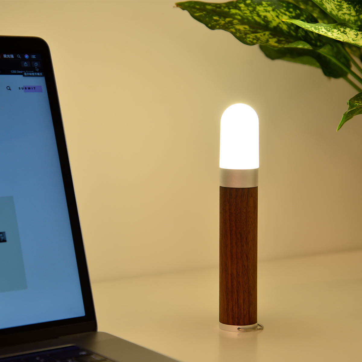 multifunctional-rechargable-led-flash-light_walnut_2.jpg