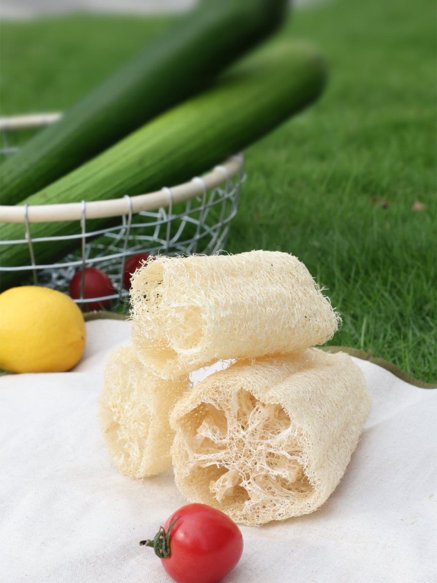 Natural Loofah Catnip Cat Toy Food Series